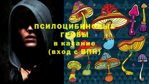 ECSTASY Алексин