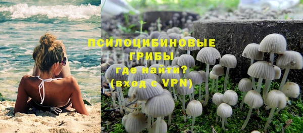 бошки Алексеевка