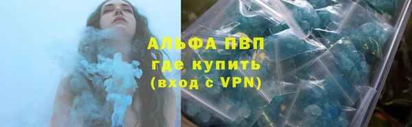 шишки Алзамай