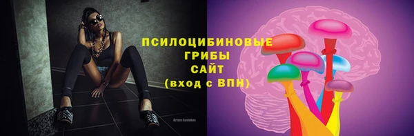 шишки Алзамай