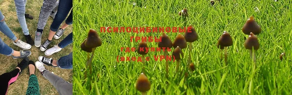 бошки Алексеевка