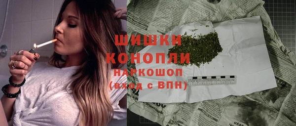 шишки Алзамай