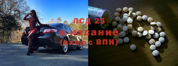 шишки Алзамай
